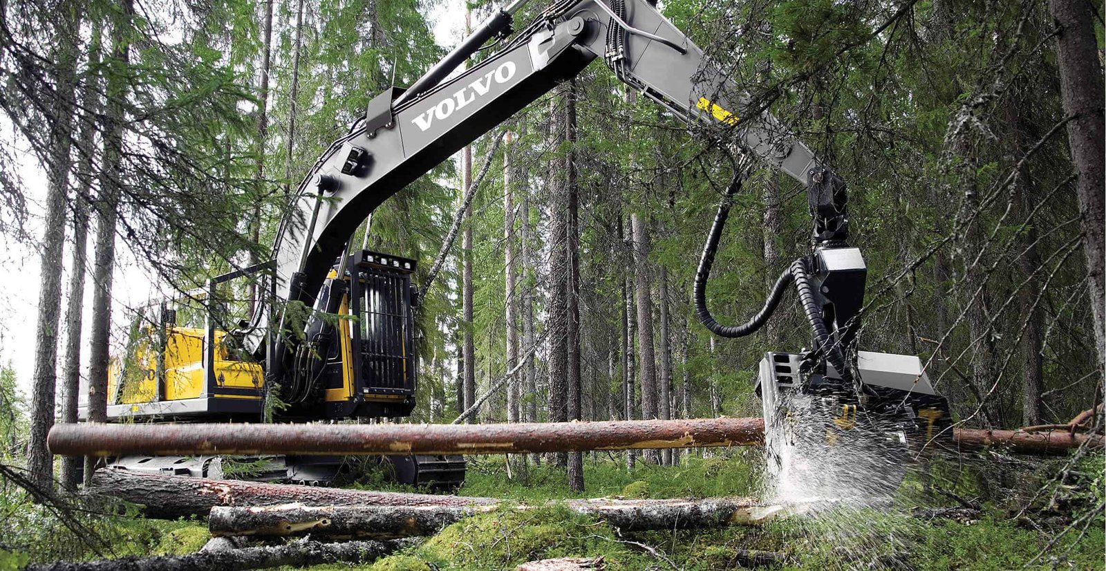 Onsite photograph of crawler excavators during forestry work