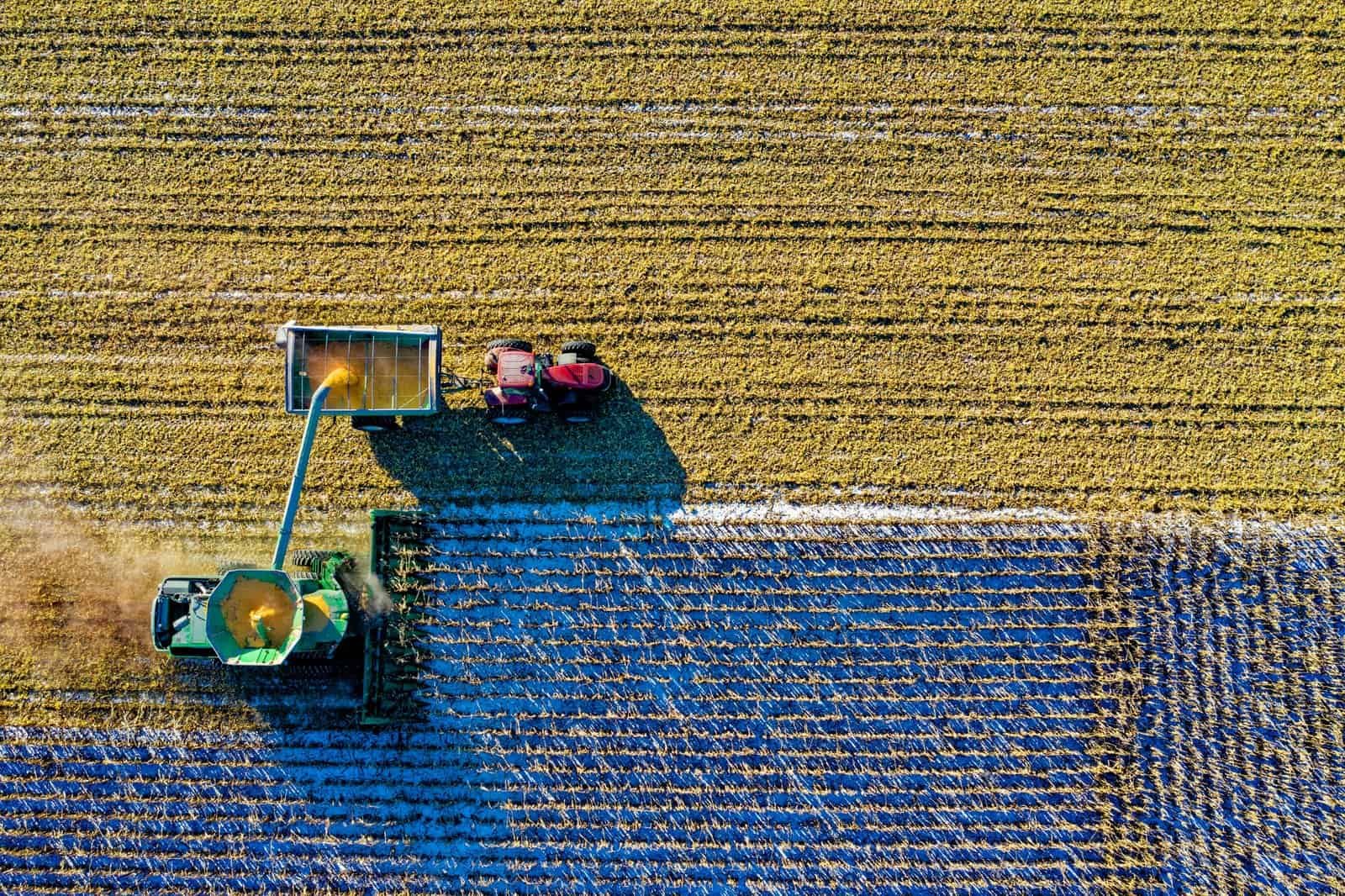 Top View of Green Field